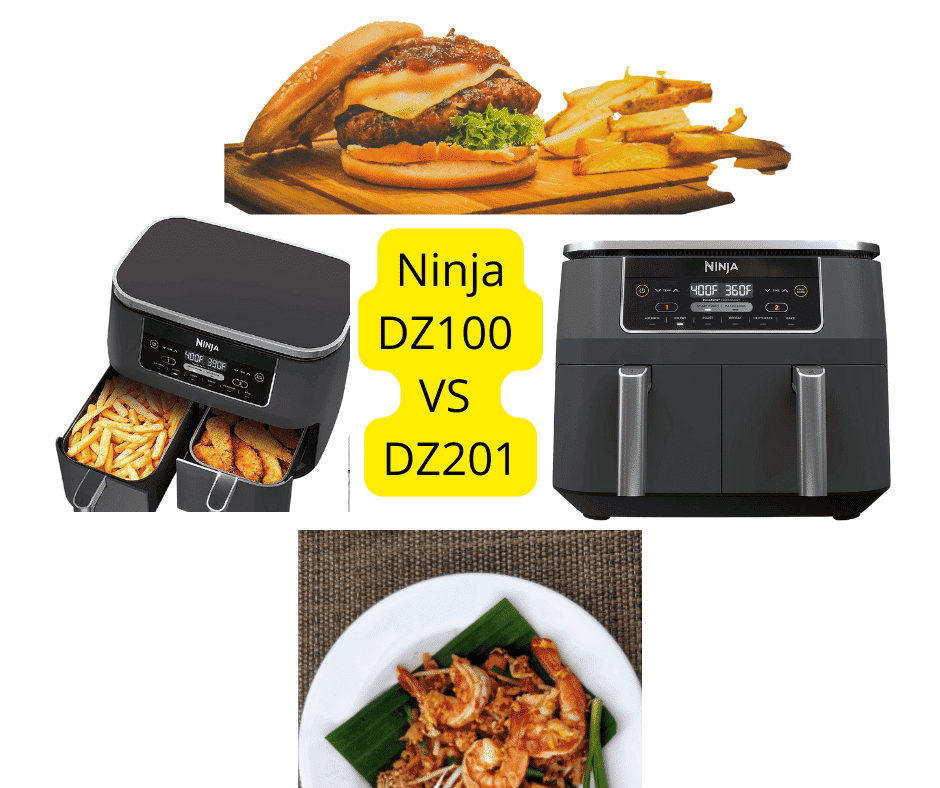 Ninja DZ100 VS DZ201