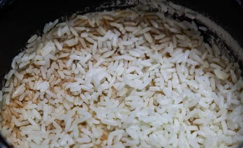 rice cooker burns rice