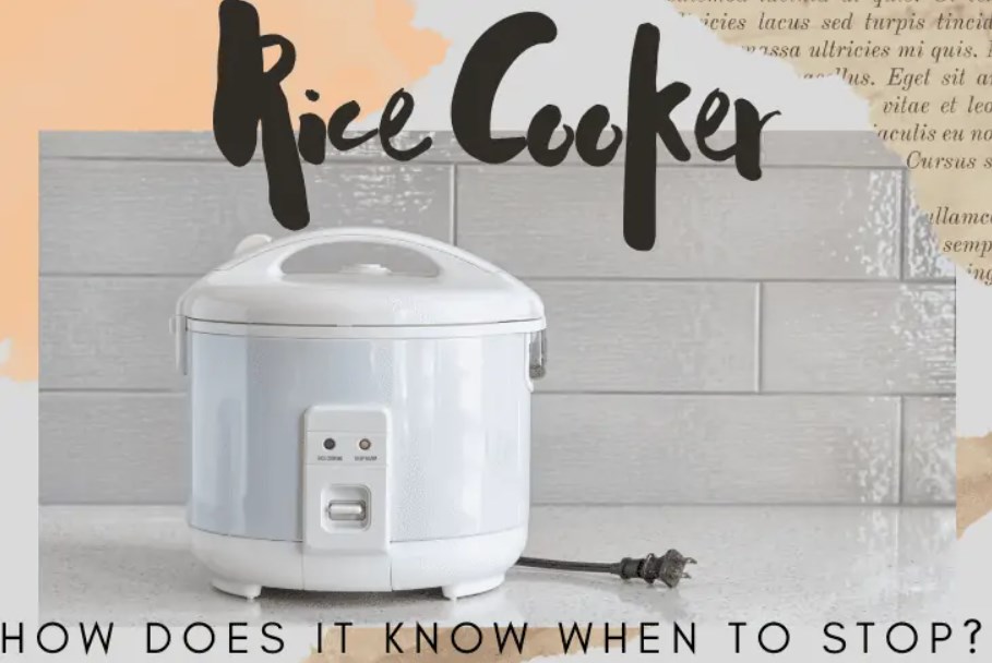 How does rice cooker know when to stop: Top detailed answer