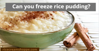Can you freeze rice pudding: the best guide and step-by-step instruction