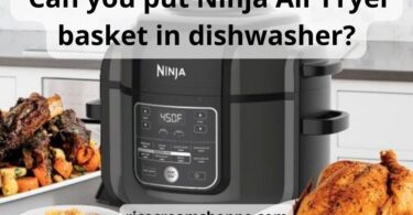 Can you put Ninja Air Fryer basket in dishwasher: top 6 tips