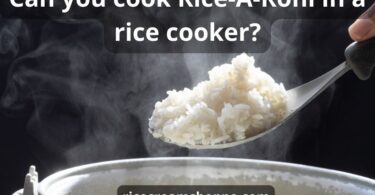 Can you cook Rice-A-Roni in a rice cooker: top main 8 steps